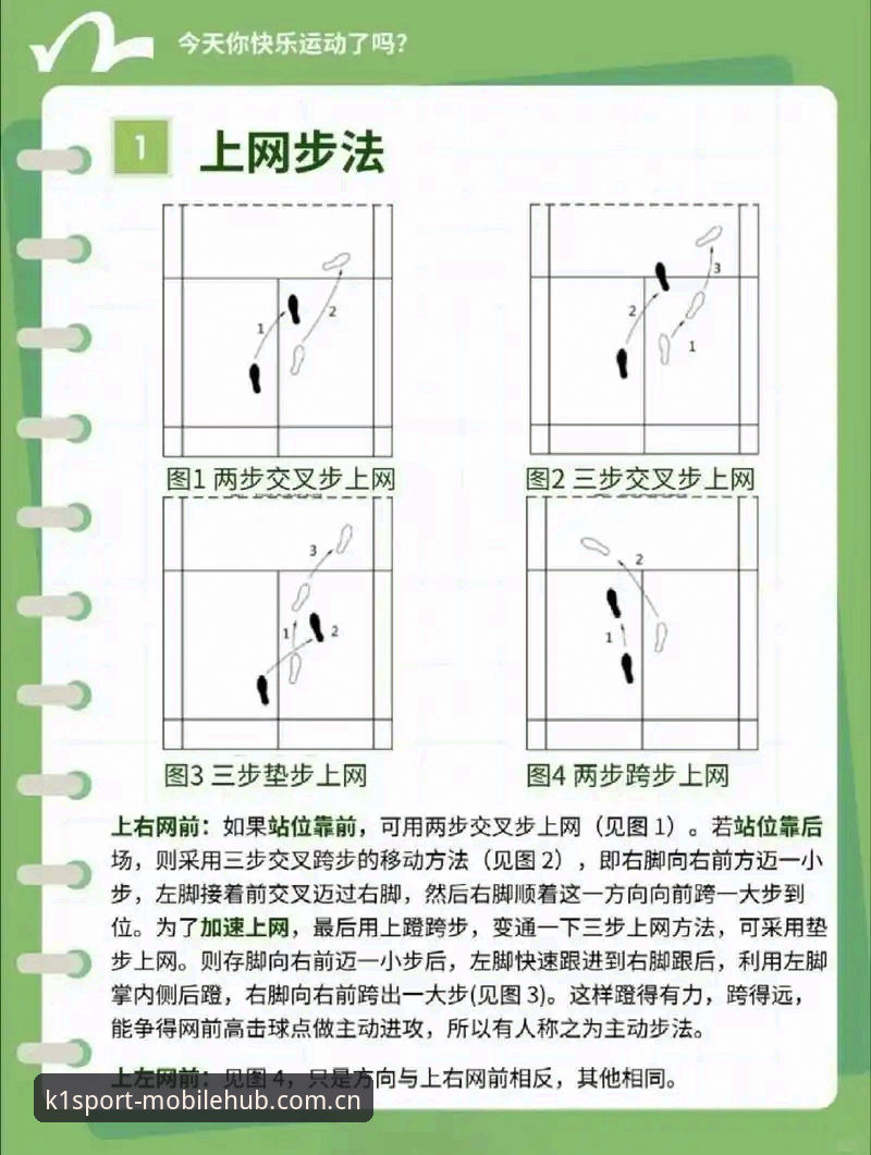 5个k1体育推荐教程核心技巧，助你从新手变老鸟
